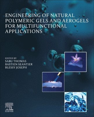 bokomslag Engineering of Natural Polymeric Gels and Aerogels for Multifunctional  Applications