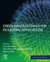 bokomslag Green Nanomaterials for Industrial Applications