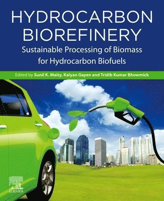 Hydrocarbon Biorefinery 1