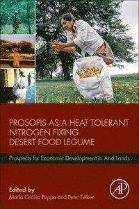 bokomslag Prosopis as a Heat Tolerant Nitrogen Fixing Desert Food Legume