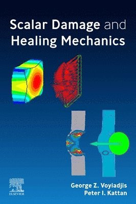 bokomslag Scalar Damage and Healing Mechanics