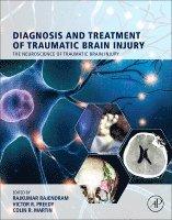Rajkumar Rajendram, Victor R. Preedy, Colin R. Martin, Victor R Preedy, Colin R Martin - Diagnosis and Treatment of Traumatic Brain Injury, Inbunden