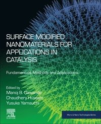bokomslag Surface Modified Nanomaterials for Applications in Catalysis