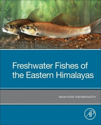 bokomslag Freshwater Fishes of the Eastern Himalayas