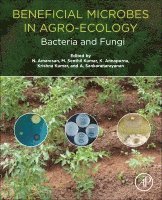 N. Amaresan, M. Senthil Kumar, K. Annapurna, Krishna Kumar, A. Sankaranarayanan - Beneficial Microbes in Agro-Ecology, Häftad