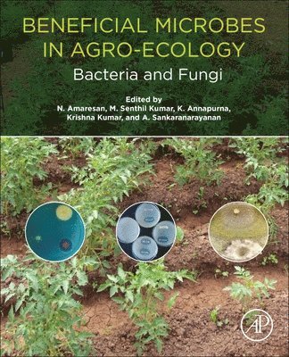 N. Amaresan, M. Senthil Kumar, K. Annapurna, Krishna Kumar, A. Sankaranarayanan, India) Amaresan, N. (Assistant Professor, C.G. Bhakta Institute of Biotechnology, Uka Tarsadia University, Gujarat, India) Senthil Kumar, M. (Senior Scientist (Microbiology), ICAR-Indian Institute of Pulses Research, Kanpur, India) Annapurna, K. (Head, Division of Microbiology, ICAR-Indian Agricultural Research Institute, New Delhi, India) Kumar, Krishna (Research and Development Engineer, UJVN Ltd. (A Govt. of Uttarakhand Enterprises), India) Sankaranarayanan, A. (Assistant Professor in Microbiology, Bhakta Institute of Biotechnology, Uka Tarsadia University, Gujarat, M. Senthil Kumar - Beneficial Microbes in Agro-Ecology, Häftad