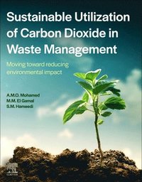 bokomslag Sustainable Utilization of Carbon Dioxide in Waste Management