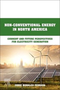 bokomslag Non-Conventional Energy in North America