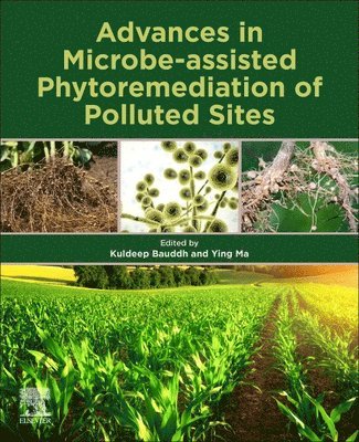 Advances in Microbe-assisted Phytoremediation of Polluted Sites 1