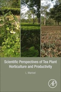 bokomslag Scientific Perspectives of Tea Plant Horticulture and Productivity