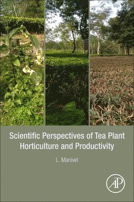 Scientific Perspectives of Tea Plant Horticulture and Productivity 1