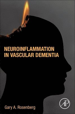 bokomslag Neuroinflammation in Vascular Dementia