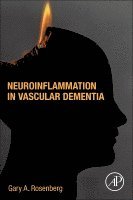 Gary Rosenberg, USA) Rosenberg, Gary (Professor of Neurology and Director, University of New Mexico Memory and Aging Center, Albuquerque, New Mexico - Neuroinflammation in Vascular Dementia, Häftad