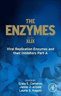 bokomslag Viral Replication Enzymes and their Inhibitors Part A