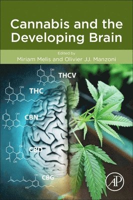 bokomslag Cannabis and the Developing Brain