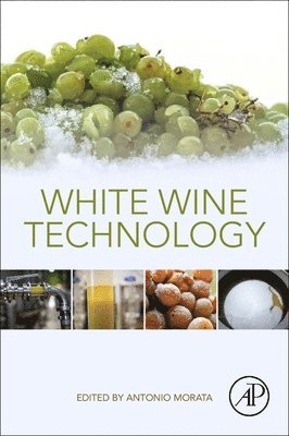 bokomslag White Wine Technology