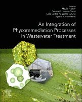 Maulin P. Shah, Susana Rodriguez-Couto, Celia Bertha Vargas De La Cruz, Jayanta Kumar Biswas - An Integration of Phycoremediation Processes in Wastewater Treatment, Häftad