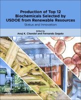 Anuj K. Chandel, Fernando Segato - Production of Top 12 Biochemicals Selected by USDOE from Renewable Resources, Häftad