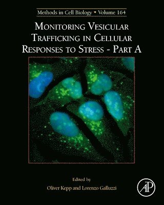 bokomslag Monitoring Vesicular Trafficking in Cellular Responses to Stress