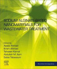 bokomslag Sodium Alginate-Based Nanomaterials for Wastewater Treatment