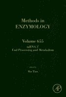 Bin Tian - mRNA 3' End Processing and Metabolism, Inbunden