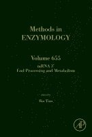 bokomslag mRNA 3' End Processing and Metabolism