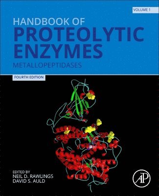 Neil D Rawlings, David S Auld - Handbook of Proteolytic Enzymes, Häftad