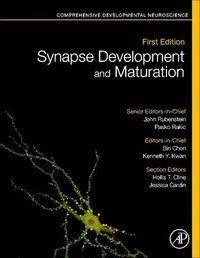 bokomslag Synapse Development and Maturation