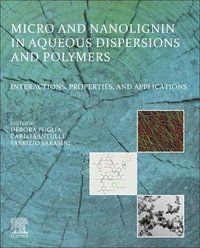 bokomslag Micro and Nanolignin in Aqueous Dispersions and Polymers