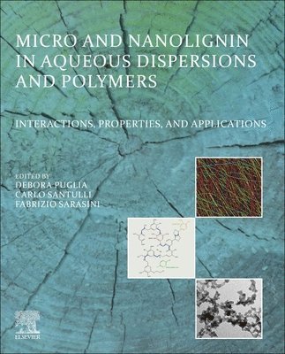 Micro and Nanolignin in Aqueous Dispersions and Polymers 1