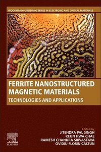 bokomslag Ferrite Nanostructured Magnetic Materials