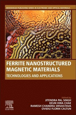 Ferrite Nanostructured Magnetic Materials 1