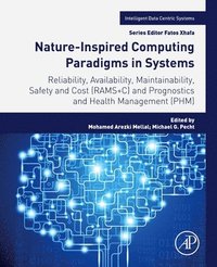 bokomslag Nature-Inspired Computing Paradigms in Systems