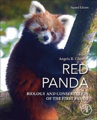 bokomslag Red Panda