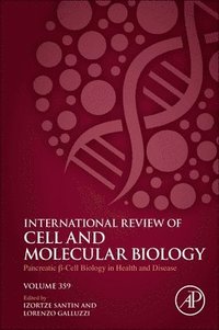 bokomslag Pancreatic B Cell Biology in Health and Disease