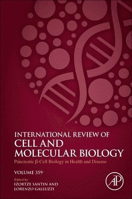 bokomslag Pancreatic B Cell Biology in Health and Disease