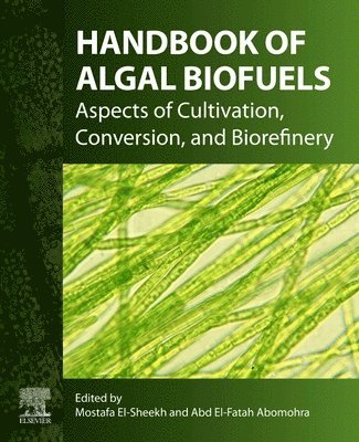 bokomslag Handbook of Algal Biofuels