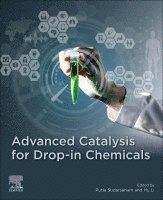 Putla Sudarsanam, Hu Li - Advanced Catalysis for Drop-in Chemicals, Häftad