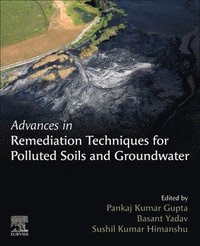 bokomslag Advances in Remediation Techniques for Polluted Soils and Groundwater