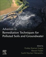 Pankaj Kumar Gupta, Basant Yadav, Sushil Kumar Himanshu - Advances in Remediation Techniques for Polluted Soils and Groundwater, Häftad