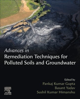 Advances in Remediation Techniques for Polluted Soils and Groundwater 1