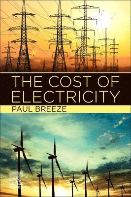 The Cost of Electricity 1