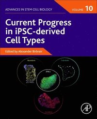 bokomslag Current Progress in iPSC-derived Cell Types