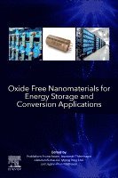 Prabhakarn Arunachalam, Jayaraman Theerthagiri, Abdullah Al-Mayouf, Myong Yong Choi, Madhavan Jagannathan - Oxide Free Nanomaterials for Energy Storage and Conversion Applications, Häftad