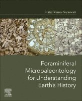 Pratul Kumar Saraswati, India) Saraswati, Pratul Kumar (Professor, Department of Earth Sciences, Indian Institute of Technology Bombay, Mumbai - Foraminiferal Micropaleontology for Understanding Earth's History, Häftad