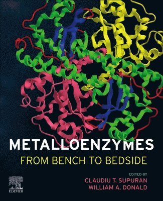 bokomslag Metalloenzymes