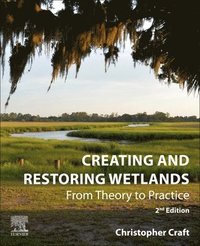 bokomslag Creating and Restoring Wetlands