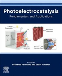 bokomslag Photoelectrocatalysis