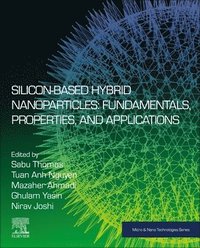bokomslag Silicon-Based Hybrid Nanoparticles