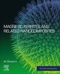 bokomslag Magnetic Ferrites and Related Nanocomposites